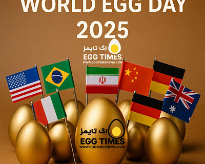 روز جهانی تخم‌مرغ ۲۰۲۵؛ جشن جهانی برای «قدرت تغذیه‌ای تخم‌مرغ»