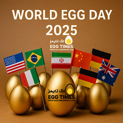 روز جهانی تخممرغ ۲۰۲۵؛ جشن جهانی برای «قدرت تغذیهای تخممرغ»