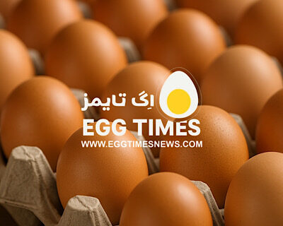 افزایش جهانی قیمت تخم‌مرغ؛ رکورد جدید در بازار جهانی