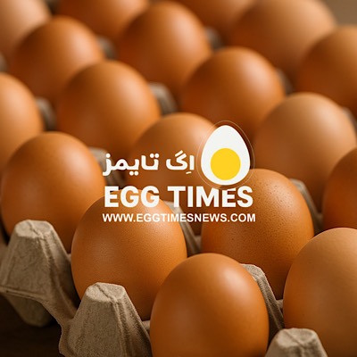 افزایش جهانی قیمت تخممرغ؛ رکورد جدید در بازار جهانی