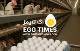 بازار جهانی تخم‌مرغ تا سال ۲۰۳۵؛ رشد ۲۲٪ پیش‌بینی‌شده است