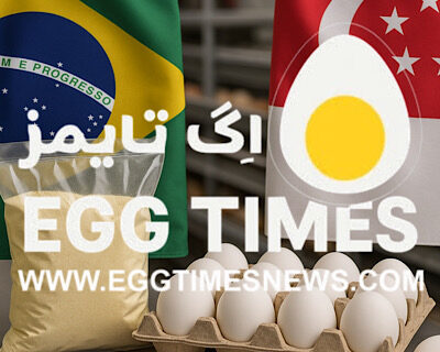 سنگاپور بازار خود را به روی واردات محصولات تخم‌مرغی برزیل گشود