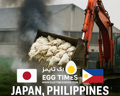 ژاپن و فیلیپین نخستین موارد آنفلوآنزای پرندگان فصل جدید را تأیید کردند