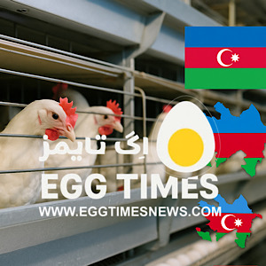 افزایش چشمگیر صادرات تخم‌مرغ در آذربایجان؛ گامی به‌سوی بازار جهانی