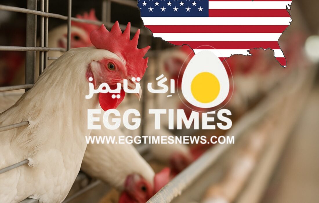 شیوع آنفلوآنزای فوقحاد پرندگان در یک مزرعه تخمگذار ایندیانا