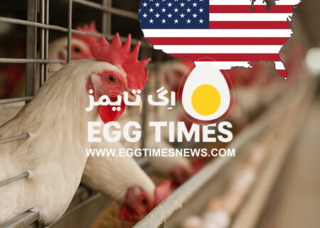شیوع آنفلوآنزای فوق‌حاد پرندگان در یک مزرعه تخم‌گذار ایندیانا