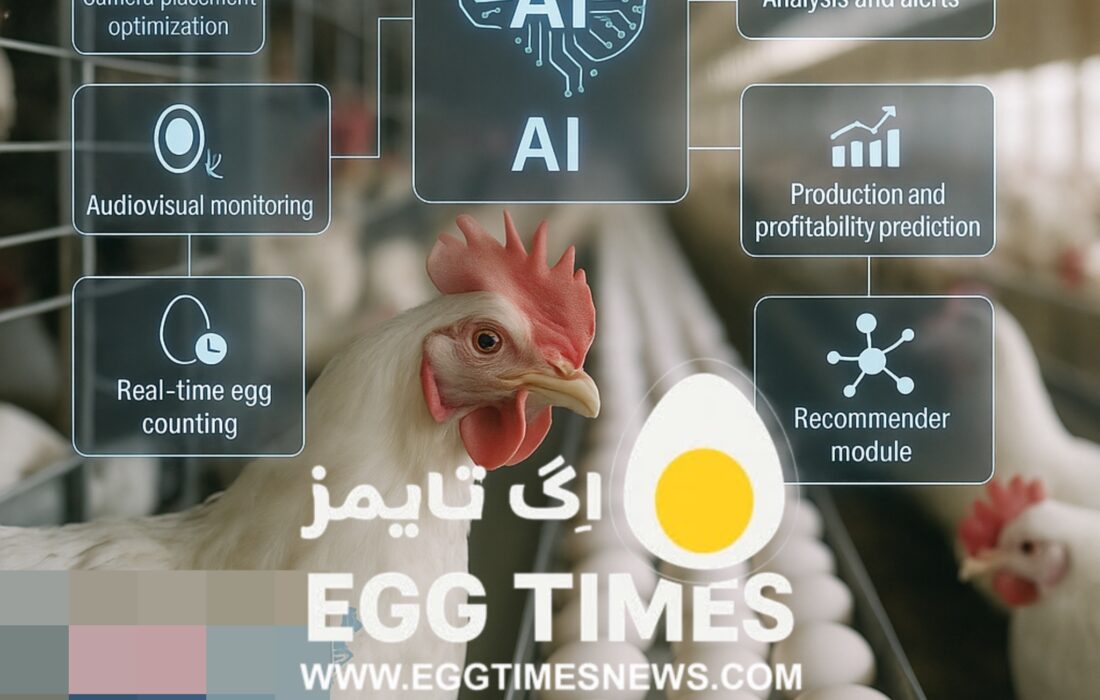 شمارش لحظهای تخممرغ با هوش مصنوعی؛ پژوهش جدید راه آینده صنعت تخمگذار را نشان داد