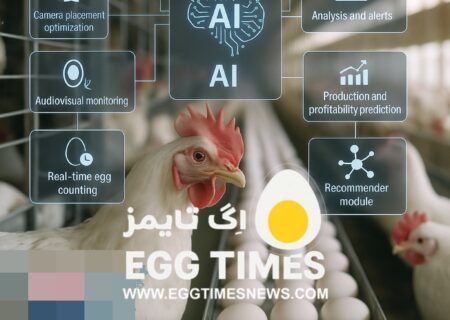 شمارش لحظه‌ای تخم‌مرغ با هوش مصنوعی؛ پژوهش جدید راه آینده صنعت تخم‌گذار را نشان داد