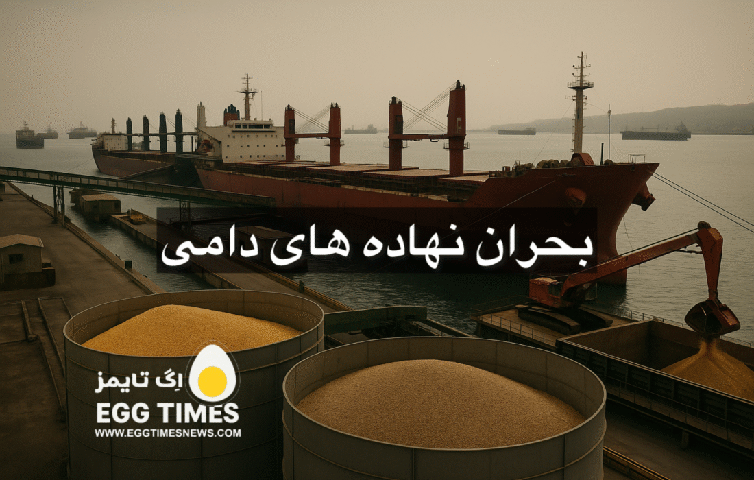 بحران نهادههای دامی در ایران