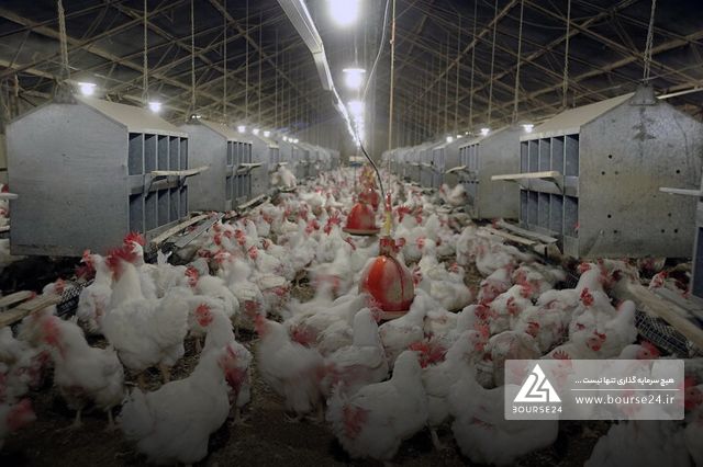 فروش «زماهان» به 787 میلیارد تومان رسید.