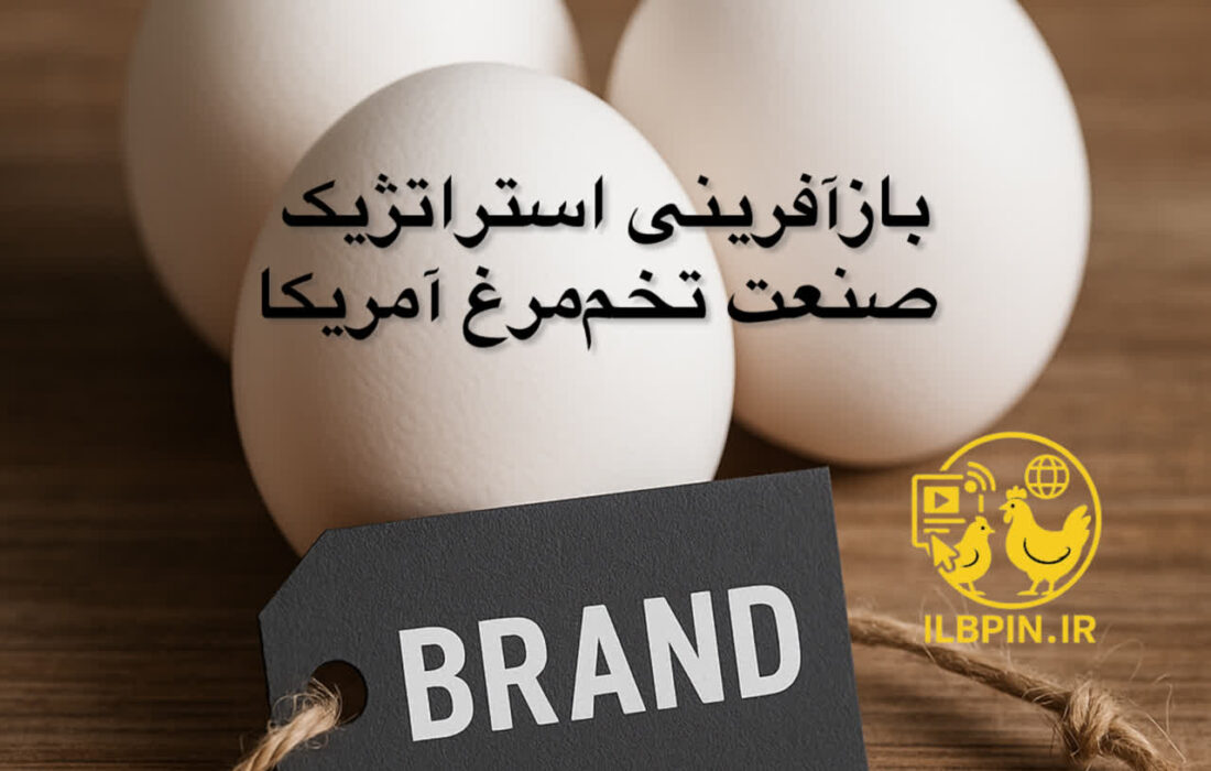 بازآفرینی استراتژیک صنعت تخم‌مرغ آمریکا