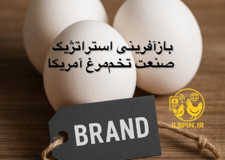 بازآفرینی استراتژیک صنعت تخم‌مرغ آمریکا