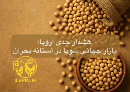 هشدار صنعت خوراک اروپا درباره خطر اختلال در تأمین سویا