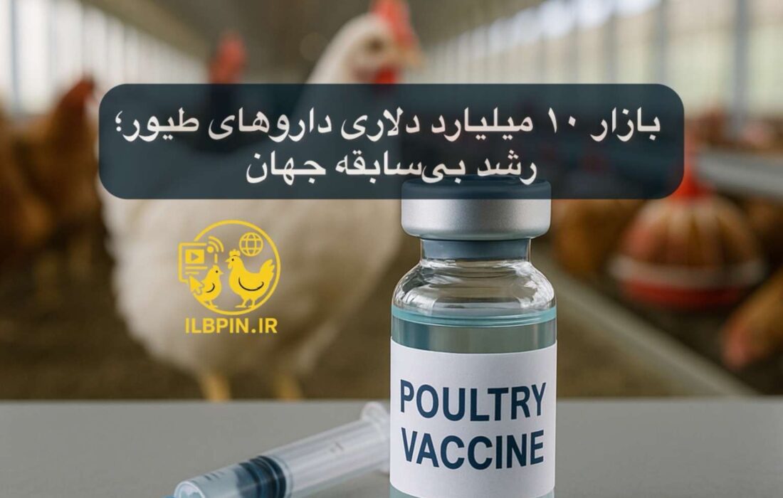 بازار داروهای صنعت طیور به ۱۰ میلیارد دلار می‌رسد | رشد ۶.۸٪ سالانه