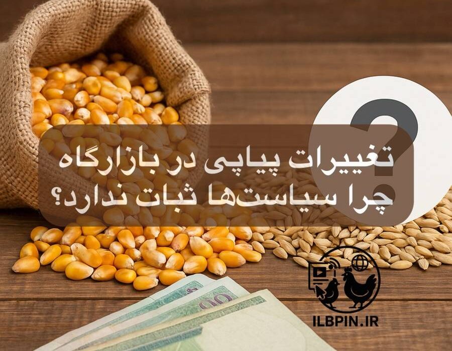 سه تغییر متوالی در نحوه عرضه نهاده‌های دامی در بازارگاه