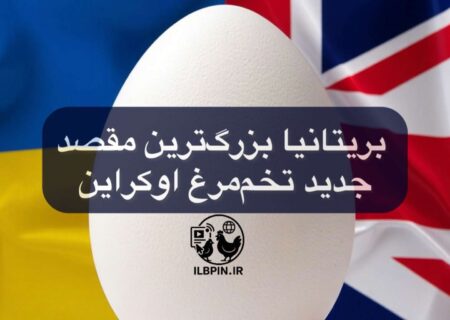 افزایش صادرات تخم‌مرغ اوکراین