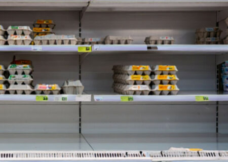 بحران تولید تخم‌مرغ در بلژیک؛ حذف قفس‌های غنی‌شده ظرفیت تولید را سقوط داد.