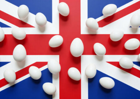 رکورد تاریخی تولید تخم‌مرغ در بریتانیا