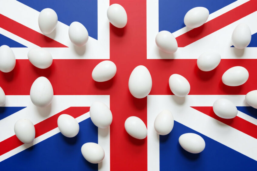 رکورد تاریخی تولید تخممرغ در بریتانیا