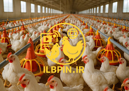 چشم‌انداز تولید جهانی گوشت طیور در سال ۲۰۲۵