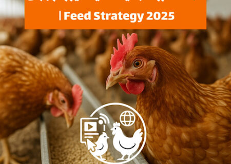 پنج روند کلیدی که تغذیه طیور را در سال‌های آینده متحول می‌کنند