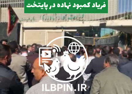 اعتراض مرغداران تخم‌گذار مقابل وزارت جهاد کشاورزی به‌دلیل کمبود نهاده‌های دامی