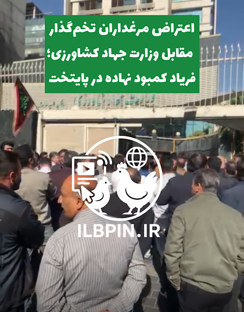 اعتراض مرغداران تخم‌گذار مقابل وزارت جهاد کشاورزی به‌دلیل کمبود نهاده‌های دامی