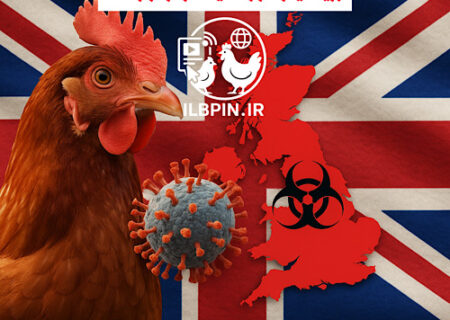 قرنطینه اجباری برای تمامی طیور در سراسر انگلستان به‌منظور جلوگیری از گسترش آنفلوآنزای پرندگان