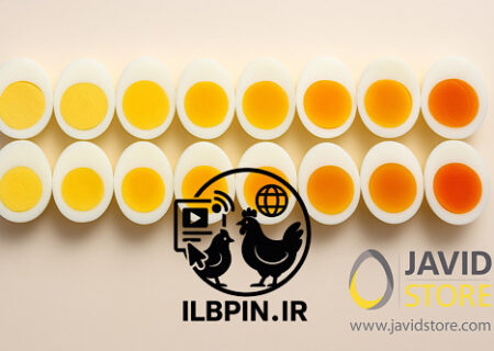 تأیید اثرگذاری کانتاگزانتین ۱۰٪ بر بهبود رنگ زرده  تخم مرغ