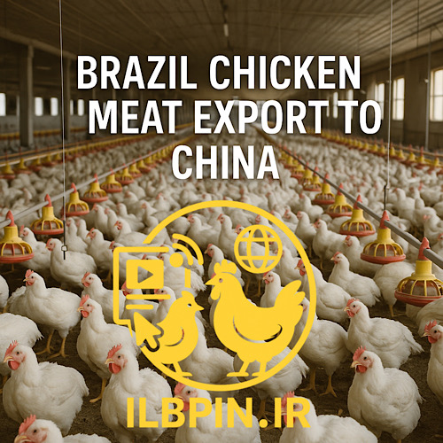 رشد تولید گوشت مرغ در پارانا با بازگشایی بازار چین و تقویت صادرات برزیل