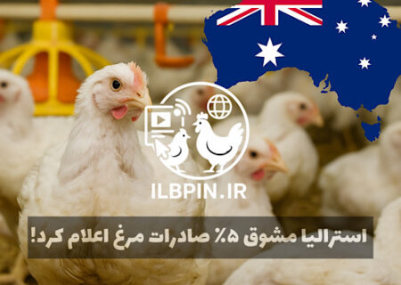 استرالیا به تولیدکنندگان مرغ گوشتی مشوق صادراتی ۵٪ می‌دهد؛ برنامه بزرگ برای تبدیل شدن به ۵ صادرکننده برتر جهان