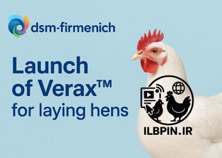معرفی رسمی سامانه Verax™ توسط dsm-firmenich برای مرغ‌های تخم‌گذار