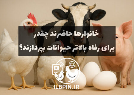 خانوارها حاضرند چقدر برای رفاه بالاتر حیوانات بپردازند؟