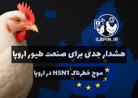 موج تازه آنفلوانزای فوق‌حاد پرندگان اروپا؛ ثبت بیش از ۳۰۰ کانون در سال ۲۰۲۵