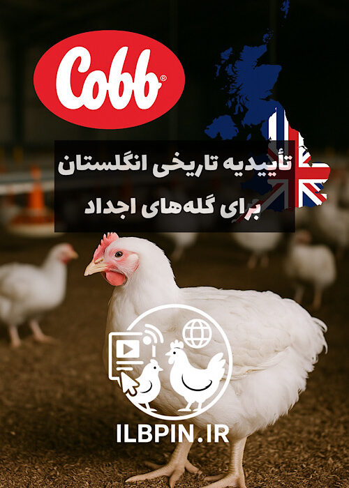 کاب اروپا موفق به کسب جایگاه رسمی «کمپارتمنت» برای گله‌های اجداد و مادر شد