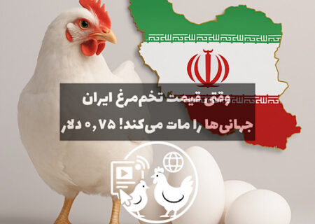 تخم‌مرغ ایران با قیمت ۰٫۷۵ دلار؛ یکی از ارزان‌ترین‌ها در جهان