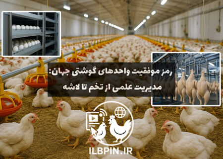 میزگرد جهانی: راهبردهای افزایش بهره‌وری در زنجیره تولید مرغ گوشتی — گزارش اختصاصی ILBPIN