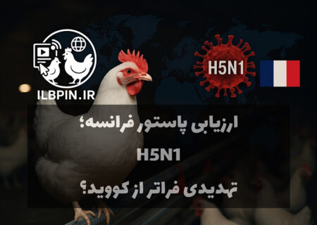 هشدار مؤسسه پاستور فرانسه: خطر پاندومی H5N1 در صورت جهش ویروس | گزارش تحلیلی ILBPIN