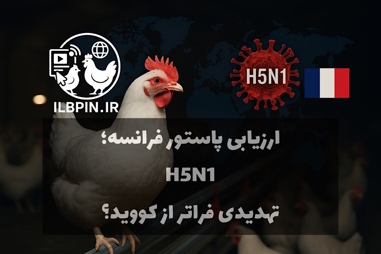 هشدار مؤسسه پاستور فرانسه: خطر پاندومی H5N1 در صورت جهش ویروس | گزارش تحلیلی ILBPIN