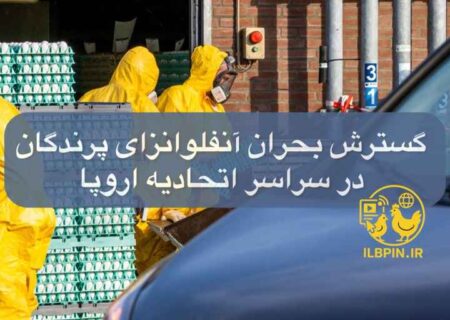 گسترش بحران آنفلوانزای پرندگان در سراسر اتحادیه اروپا