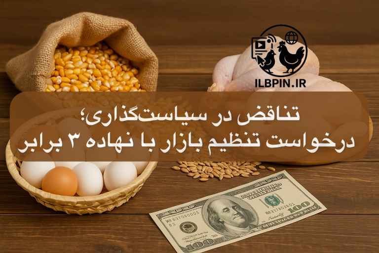 فشار برای تحویل تخممرغ تنظیمبازار در استان البرز؛ در حالیکه نهادهها با نرخ آزاد تأمین میشود.