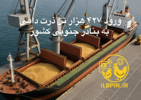 واردات ۴۲۷ هزار تن ذرت دامی در مسیر بنادر جنوبی کشور