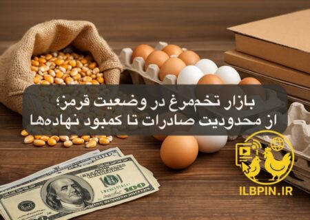 بازار تخم‌مرغ در وضعیت قرمز؛ از محدودیت صادرات تا کمبود نهاده‌ها