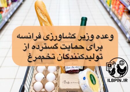 وعده وزیر کشاورزی فرانسه برای حمایت گسترده از تولیدکنندگان تخم‌مرغ