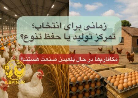 آیا مگافارم‌ها به تهدیدی برای مرغداران مستقل تبدیل شده‌اند؟