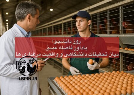 روز دانشجو؛ یادآور فاصله عمیق میان تحقیقات دانشگاهی و واقعیت مرغداری ها