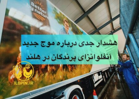 نگرانی شدید گروه کارشناسی هلند از تشدید آنفلوانزای پرندگان