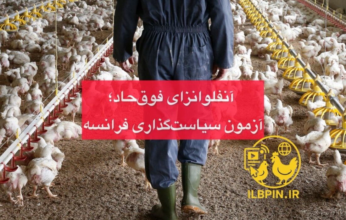 توصیه فرانسه به واکسیناسیون آنفلوانزای انسانی برای شاغلان صنعت طیور