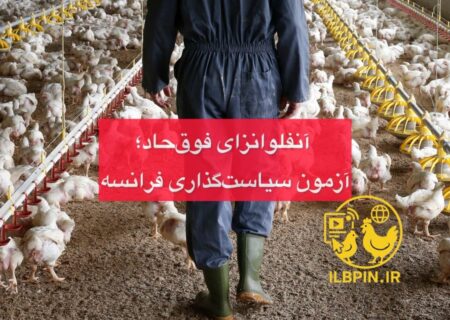 توصیه فرانسه به واکسیناسیون آنفلوانزای انسانی برای شاغلان صنعت طیور