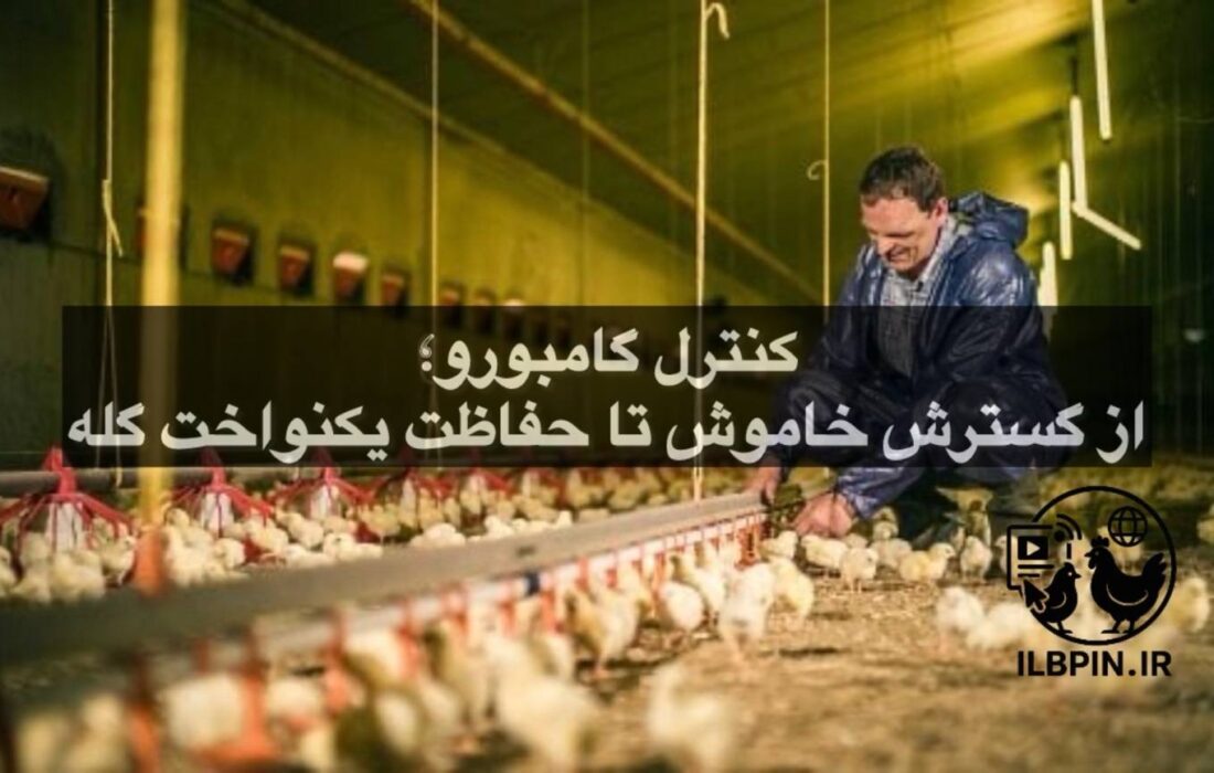 کنترل گامبورو؛از گسترش خاموش تا حفاظت یکنواخت گله